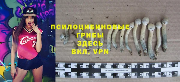 крисы Козельск