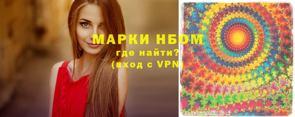 крисы Козельск