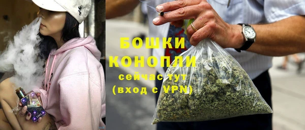 ПСИЛОЦИБИНОВЫЕ ГРИБЫ Краснотурьинск