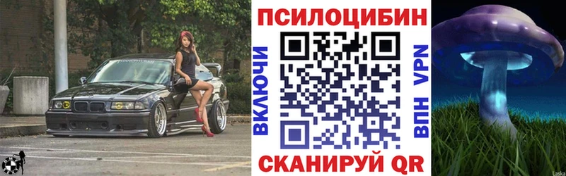 Псилоцибиновые грибы Magic Shrooms  мега tor  Верхний Уфалей 