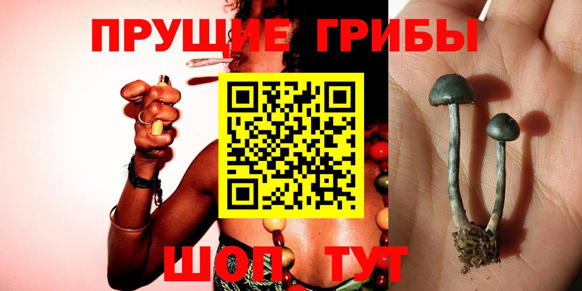 Галлюциногенные грибы GOLDEN TEACHER  Псилоцибиновые грибы MAGIC MUSHROOMS  Верхний Уфалей 